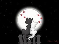 pic for Love Cats